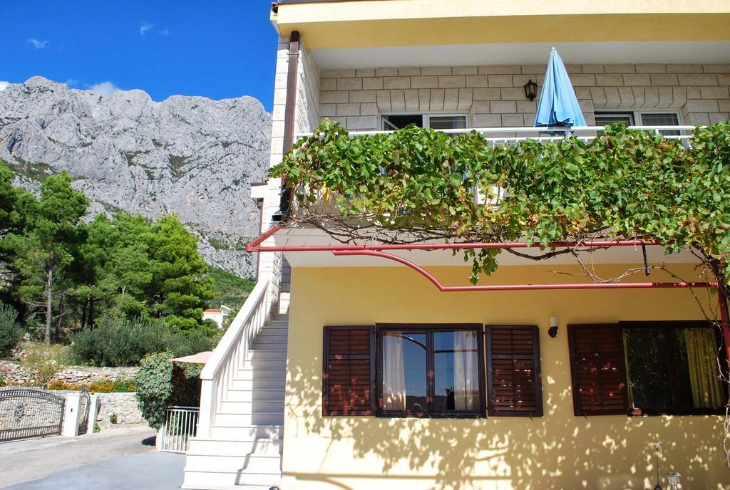Apartment Medusa